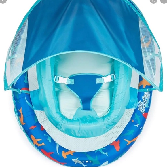 Blue Spring Float - Picture 2 of 3